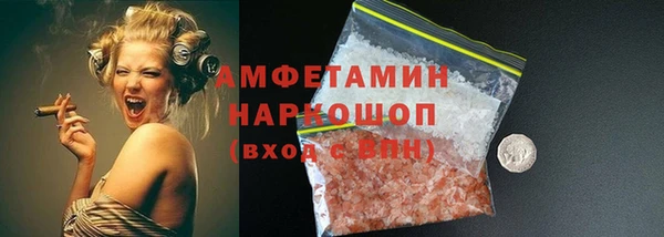 прущие грибы Иннополис