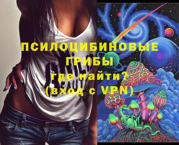тгк Инта