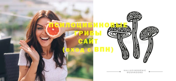 прущие грибы Иннополис