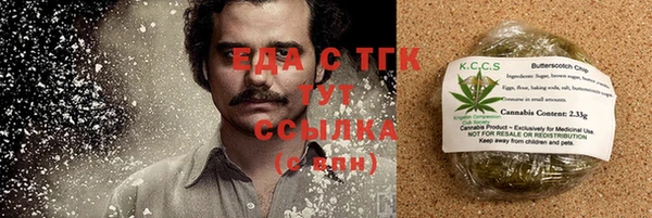 прущие грибы Иннополис