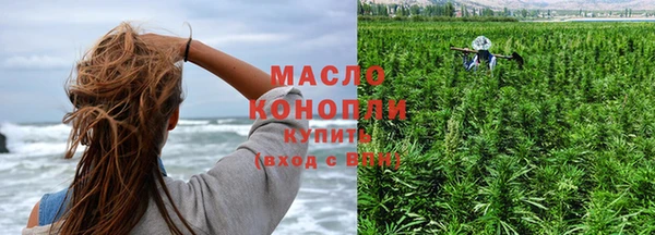 прущие грибы Иннополис