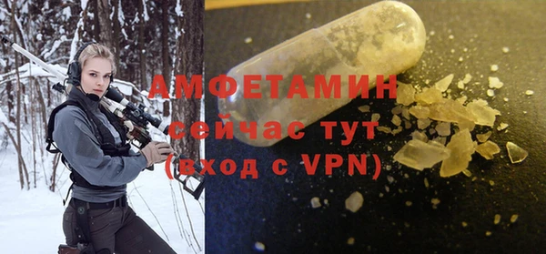 прущие грибы Иннополис
