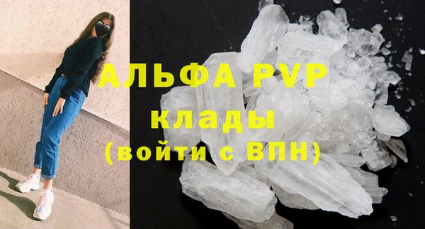 тгк Инта