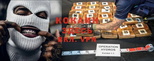 тгк Инта