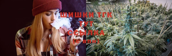 тгк Инта