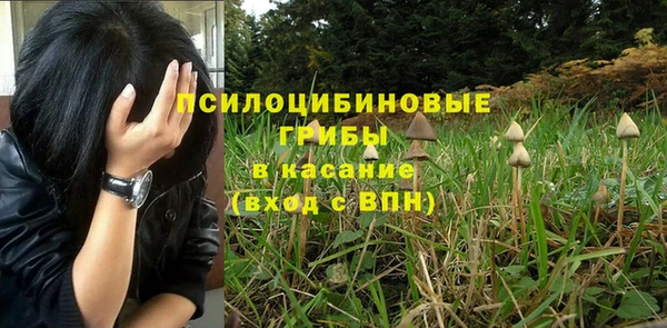 прущие грибы Иннополис