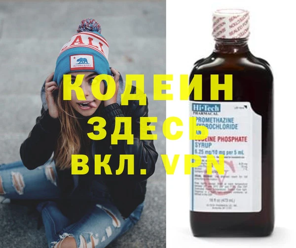 прущие грибы Иннополис