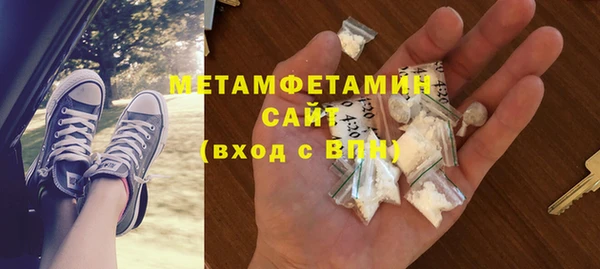 прущие грибы Иннополис